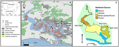 The depositional history of the Knysna estuary since European colonization in the context of sea level and human impacts